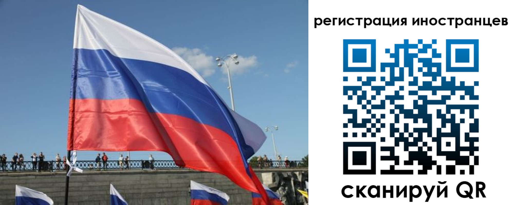 где прописаться в Нелидово